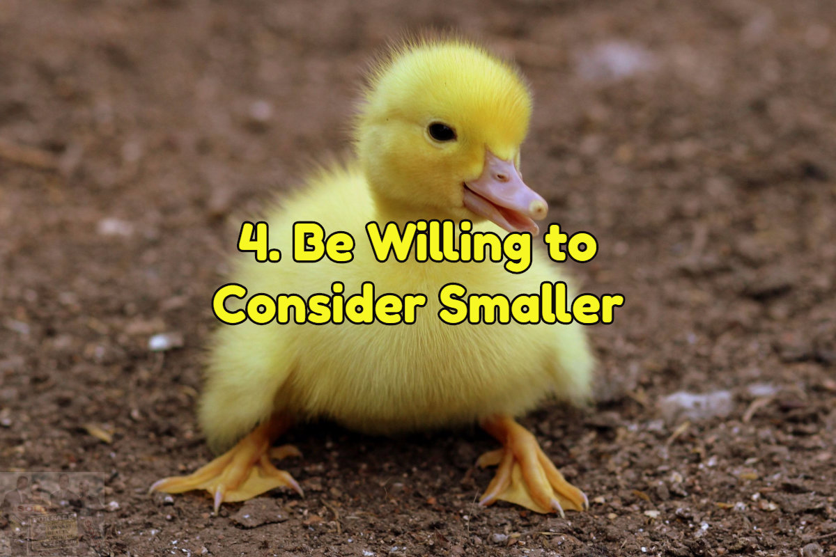 Be willing to start small with your home search